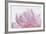 Pink Peony Petals VI-Cora Niele-Framed Photographic Print