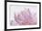 Pink Peony Petals VI-Cora Niele-Framed Photographic Print