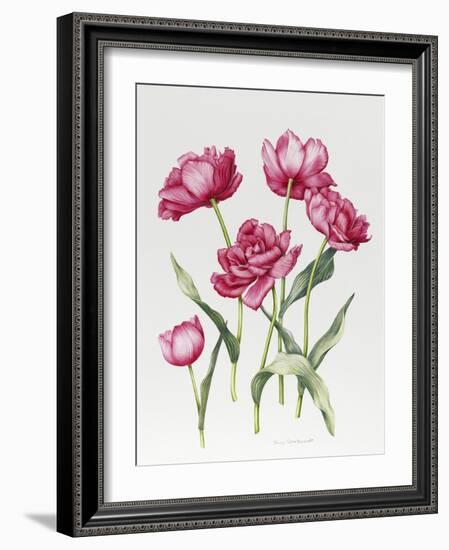 Pink Peony Tulips-Sally Crosthwaite-Framed Giclee Print