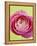 Pink Peony-Clive Nichols-Framed Premier Image Canvas