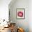 Pink Peony-Clive Nichols-Framed Photographic Print displayed on a wall