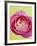 Pink Peony-Clive Nichols-Framed Photographic Print