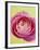 Pink Peony-Clive Nichols-Framed Photographic Print