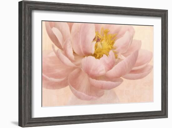 Pink Peony-Cora Niele-Framed Photographic Print