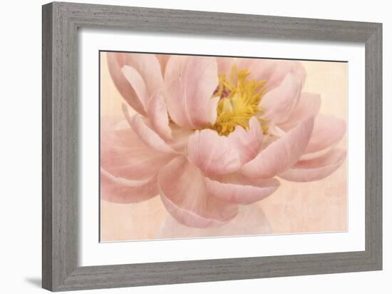 Pink Peony-Cora Niele-Framed Photographic Print