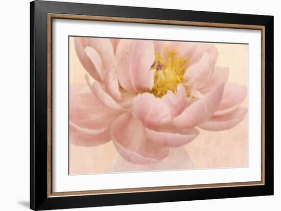 Pink Peony-Cora Niele-Framed Photographic Print