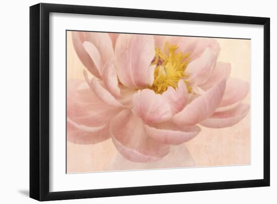 Pink Peony-Cora Niele-Framed Photographic Print