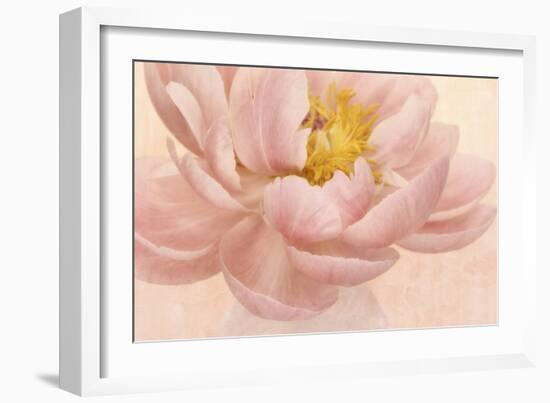 Pink Peony-Cora Niele-Framed Photographic Print