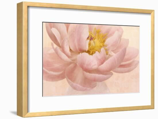 Pink Peony-Cora Niele-Framed Photographic Print