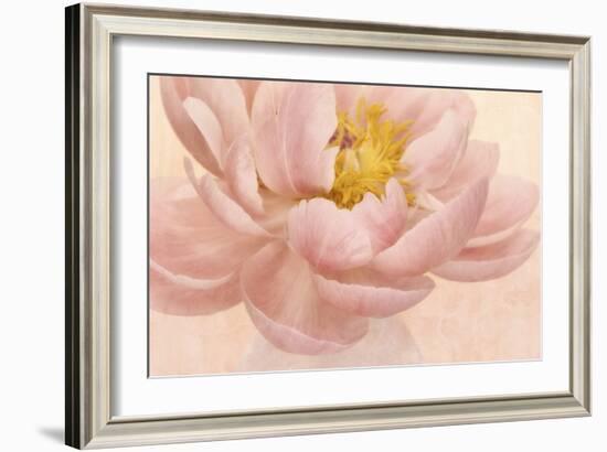 Pink Peony-Cora Niele-Framed Photographic Print