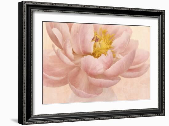 Pink Peony-Cora Niele-Framed Photographic Print