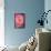 Pink Peony-Karyn Millet-Framed Stretched Canvas displayed on a wall