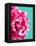 Pink Peony-Lexie Greer-Framed Premier Image Canvas