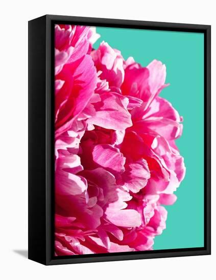 Pink Peony-Lexie Greer-Framed Premier Image Canvas