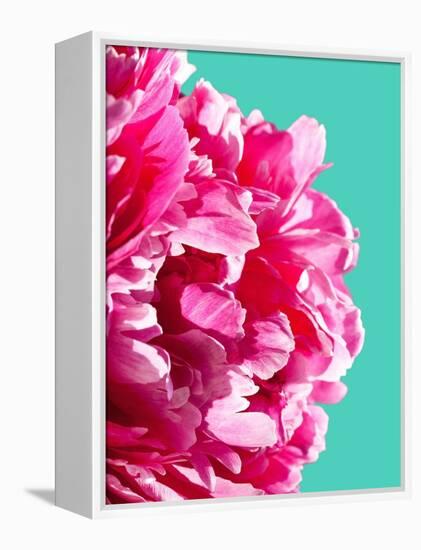 Pink Peony-Lexie Greer-Framed Premier Image Canvas