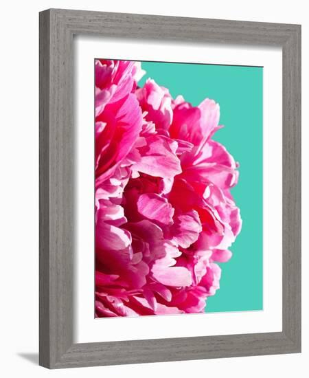 Pink Peony-Lexie Greer-Framed Photographic Print