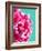 Pink Peony-Lexie Greer-Framed Photographic Print