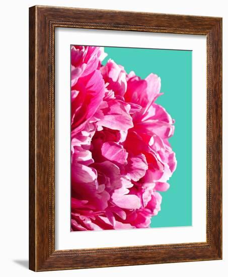 Pink Peony-Lexie Greer-Framed Photographic Print