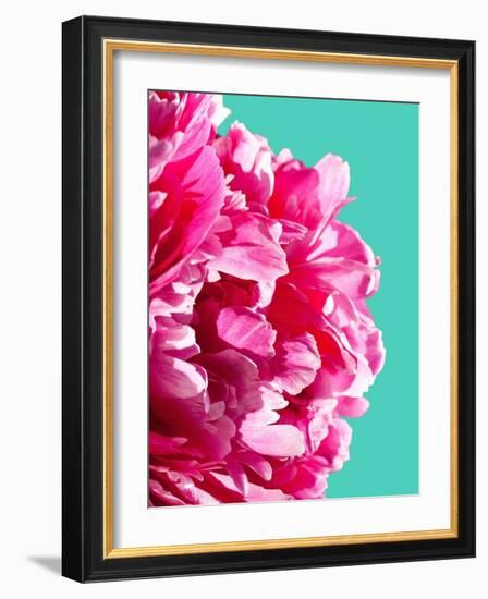 Pink Peony-Lexie Greer-Framed Photographic Print