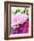 Pink Peony-Neela Pushparaj-Framed Giclee Print