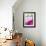 Pink Peony-Neela Pushparaj-Framed Giclee Print displayed on a wall