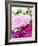 Pink Peony-Neela Pushparaj-Framed Giclee Print