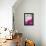 Pink Peony-Neela Pushparaj-Framed Premier Image Canvas displayed on a wall