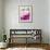 Pink Peony-Neela Pushparaj-Framed Giclee Print displayed on a wall