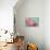 Pink Peony-Cora Niele-Giclee Print displayed on a wall