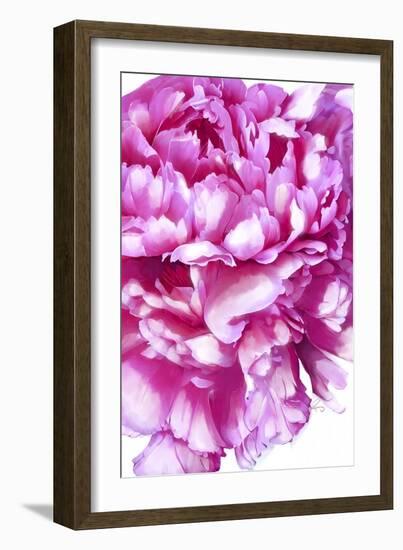Pink Peony-Ruth Day-Framed Giclee Print