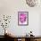 Pink Peony-Ruth Day-Framed Giclee Print displayed on a wall