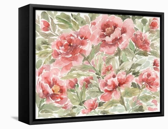 Pink Peony-Leslie Trimbach-Framed Stretched Canvas