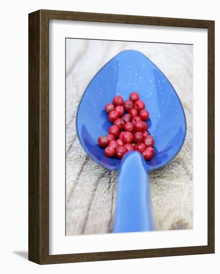 Pink Pepper in Blue Spoon-Frank Tschakert-Framed Photographic Print