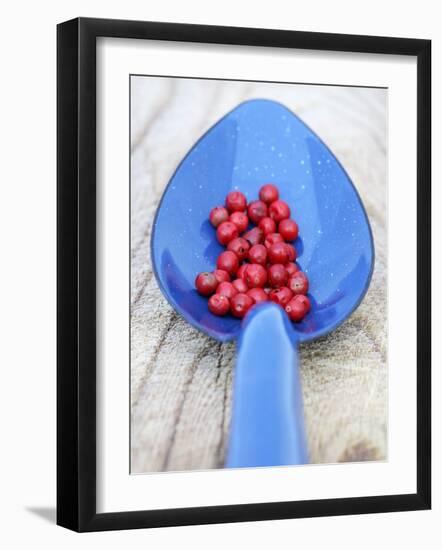 Pink Pepper in Blue Spoon-Frank Tschakert-Framed Photographic Print