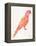 Pink Perched Parrot-Cat Coquillette-Framed Stretched Canvas