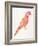 Pink Perched Parrot-Cat Coquillette-Framed Art Print