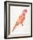 Pink Perched Parrot-Cat Coquillette-Framed Art Print