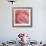 Pink Perfection 2-Joy Doherty-Framed Giclee Print displayed on a wall