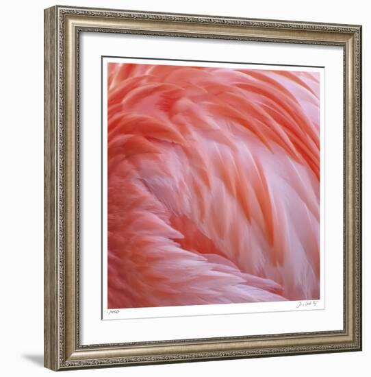 Pink Perfection 2-Joy Doherty-Framed Giclee Print