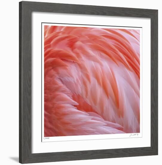 Pink Perfection 2-Joy Doherty-Framed Giclee Print