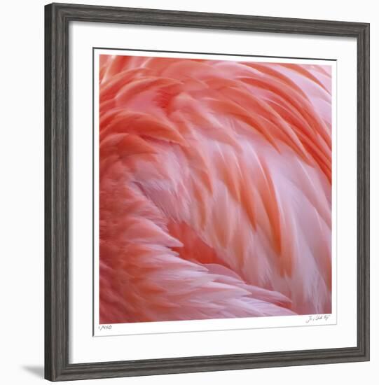 Pink Perfection 2-Joy Doherty-Framed Giclee Print