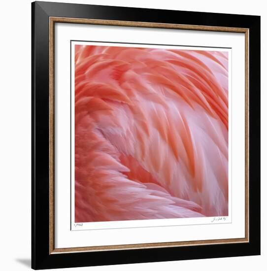 Pink Perfection 2-Joy Doherty-Framed Giclee Print