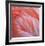 Pink Perfection 2-Joy Doherty-Framed Giclee Print