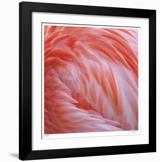 Pink Perfection 2-Joy Doherty-Framed Giclee Print