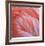 Pink Perfection 2-Joy Doherty-Framed Giclee Print