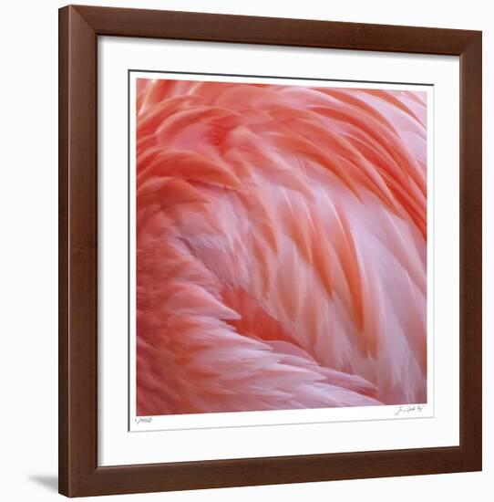 Pink Perfection 2-Joy Doherty-Framed Giclee Print