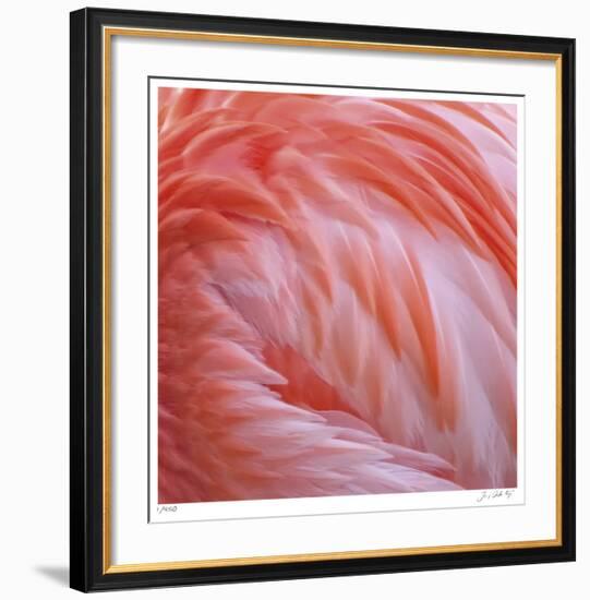 Pink Perfection 2-Joy Doherty-Framed Giclee Print