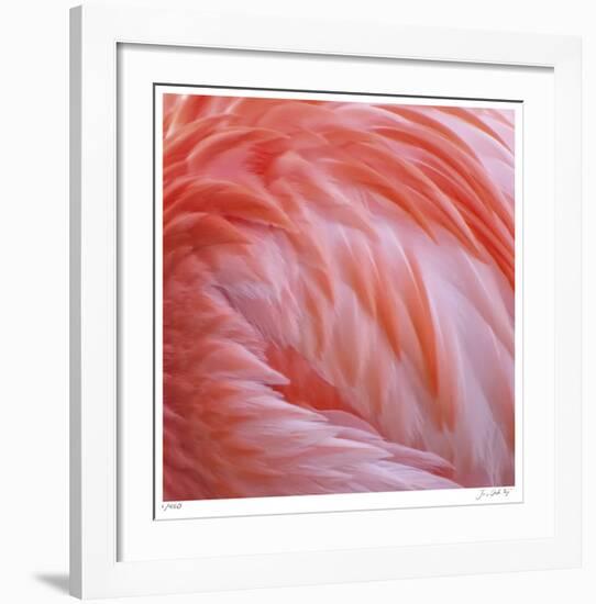 Pink Perfection 2-Joy Doherty-Framed Giclee Print