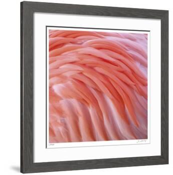 Pink Perfection 3-Joy Doherty-Framed Giclee Print