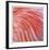 Pink Perfection 3-Joy Doherty-Framed Giclee Print